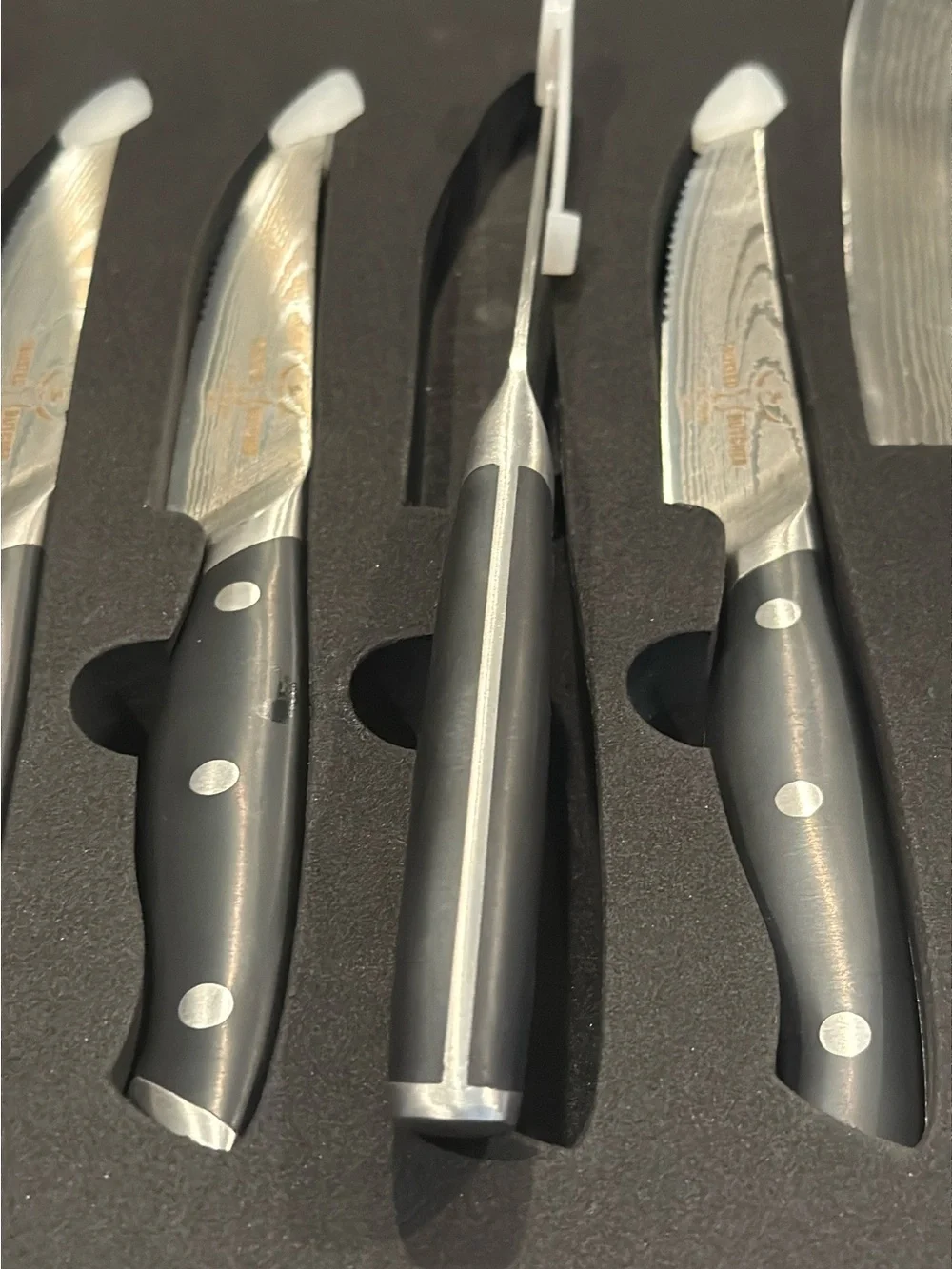 Trusted Butcher 6-Piece Knife Set in Black and Silver